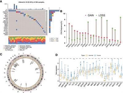 DNA methylation regulators-related molecular patterns and tumor immune landscape in hepatocellular carcinoma